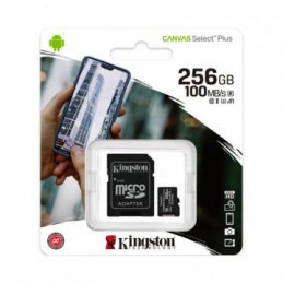 Kingston 256GB Tarjeta de...